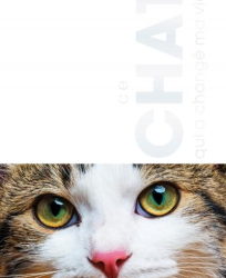Chats et littérature : Le chat qui a changé ma vie