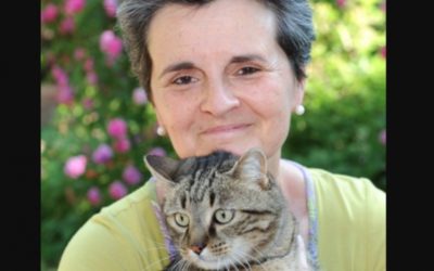 Chats et littérature : Le chat qui a changé ma vie