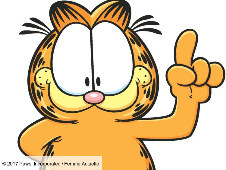 Chats célèbres : Garfield  de Jim Davis